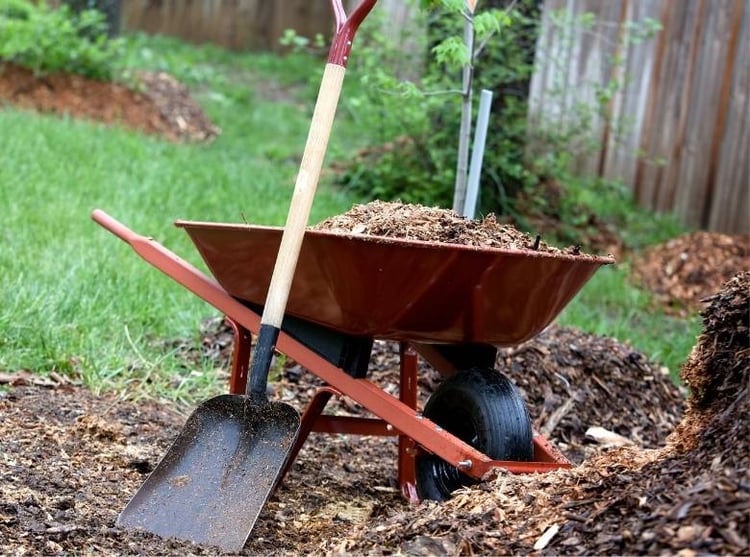 Fall Mulch Tips
